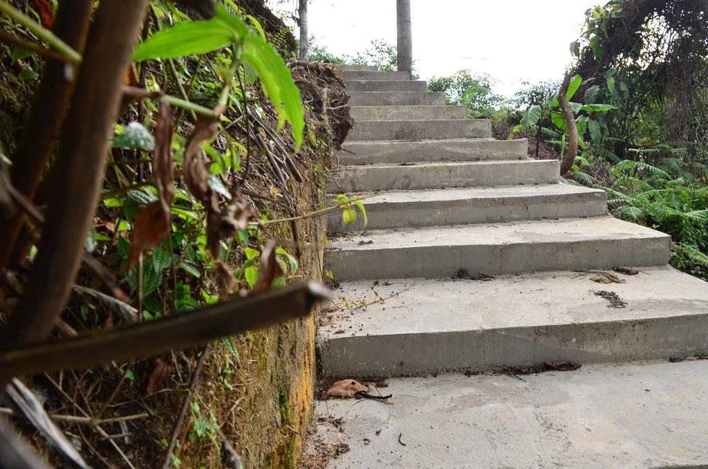 The Woodz Homestay Tanah Rata Eksteriør bilde