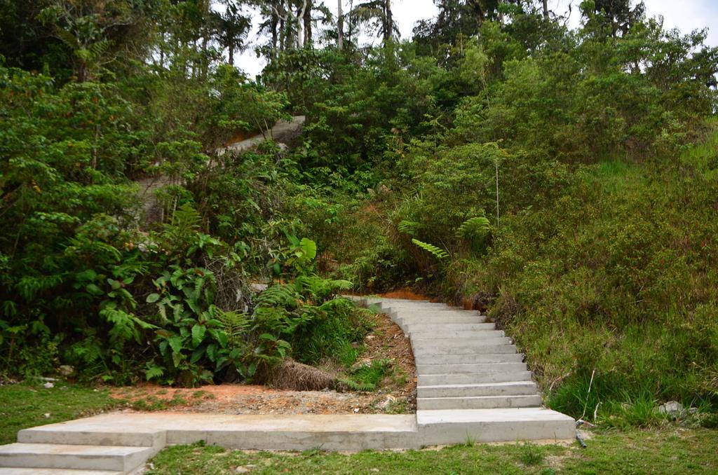 The Woodz Homestay Tanah Rata Eksteriør bilde